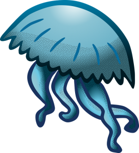 Jellyfish PNG-47066